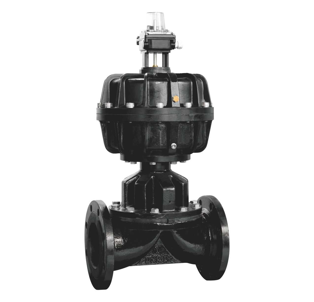 Diaphragm Valve